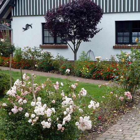 Kranichguck, App 1 Lejlighed Zingst Eksteriør billede