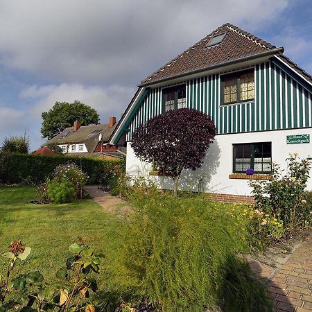Kranichguck, App 1 Lejlighed Zingst Eksteriør billede